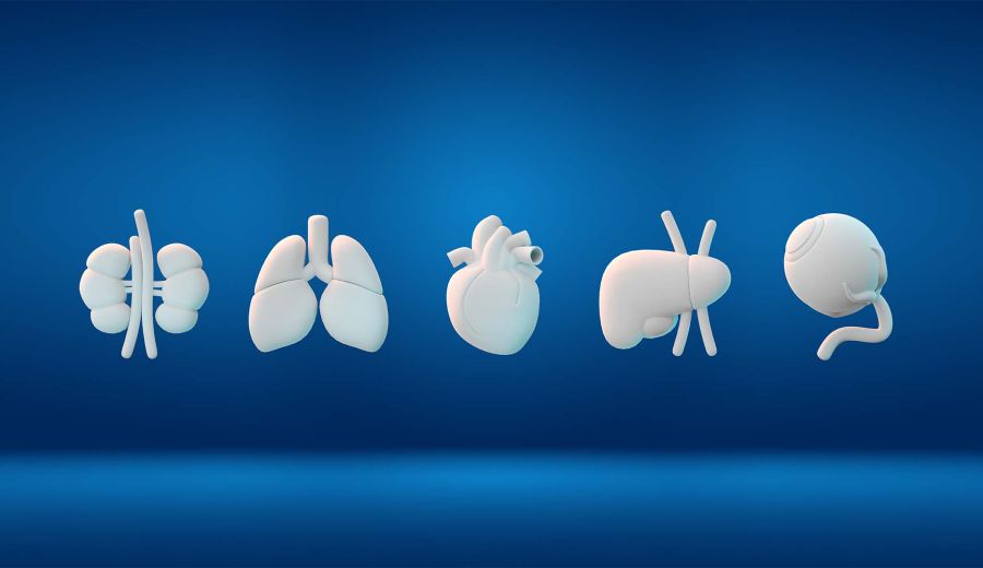 España mantiene su liderazgo mundial en trasplantes de órganos en 2025 gracias a la innovación médica y tecnologías avanzadas