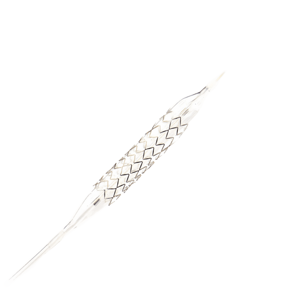 Coronary SS sirolimus-eluting stent