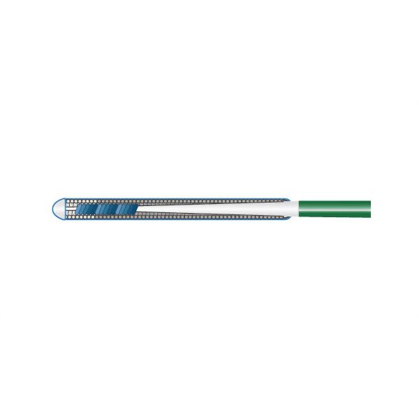 guia ptca 3 biogen