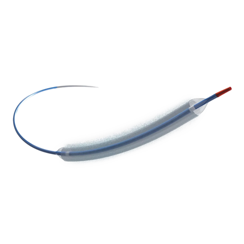 balon pta liberador de paclitaxel extender biogen
