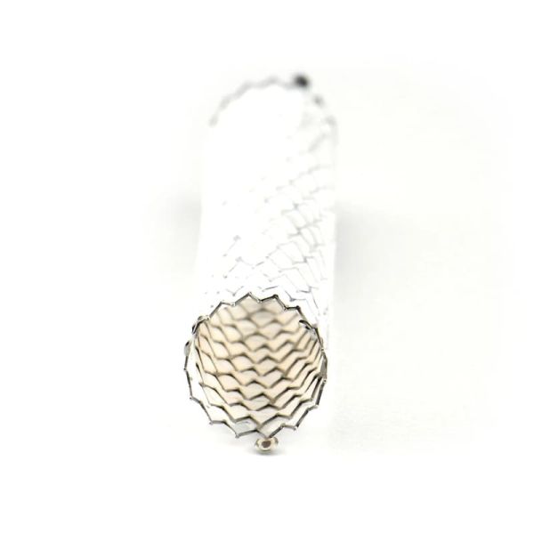 stent de injerto atlas 4 biogen
