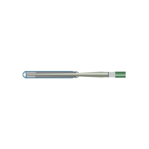 guia ptca 2 biogen