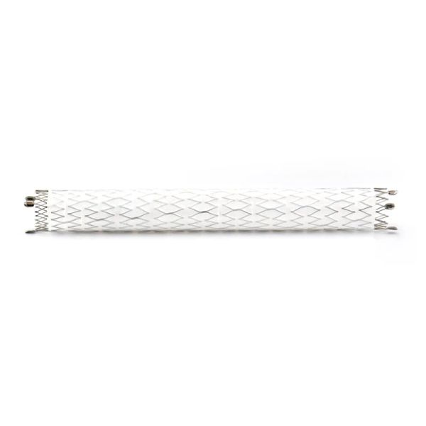 stent de injerto atlas 2 biogen