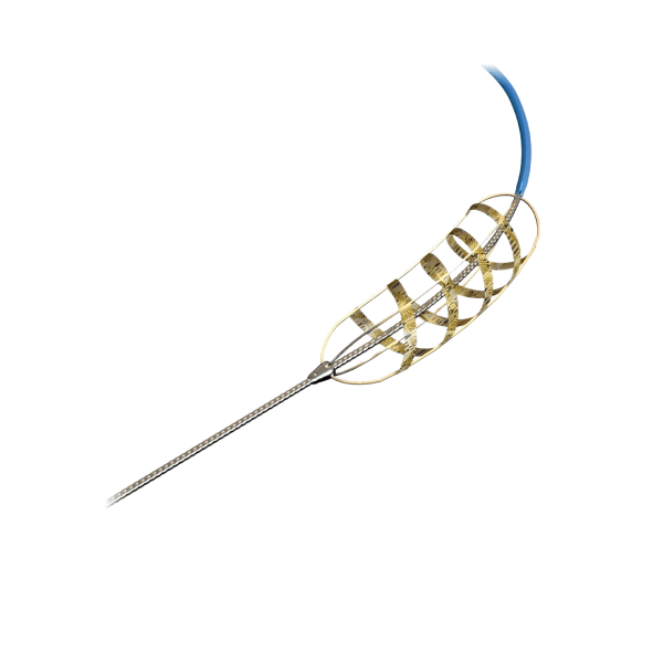 Sistema de denervaci&oacute;n renal Delta