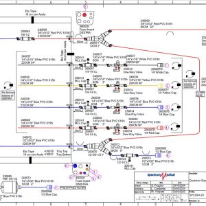 superpac quantum 1 biogen diagnostica
