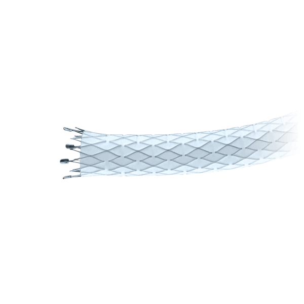 Stent de injerto Atlas