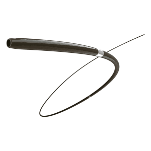 cateter de soporte dolphinpro biogen