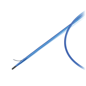 cateter de entrada subintimal dolphin biogen