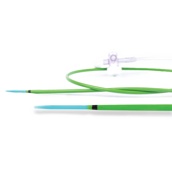 Introductor gu&iacute;a JaGuar