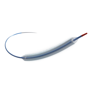 balon pta liberador de paclitaxel extender biogen