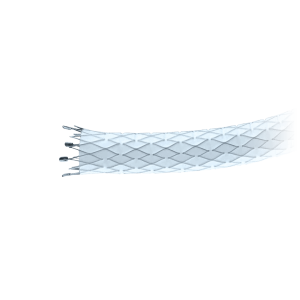 stent de injerto atlas 1 biogen