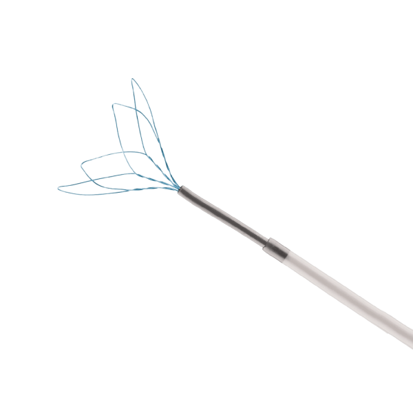 Lazo endovascular Keeper