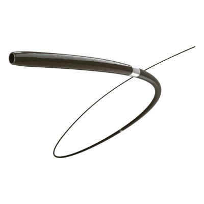 cateter de soporte dolphinpro biogen