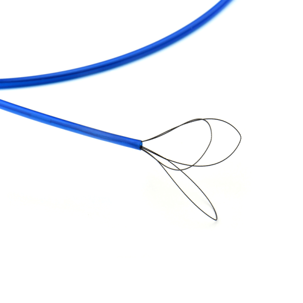 trampa de lazo endovascular keeper 5 biogen