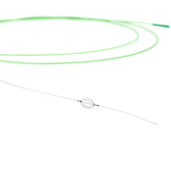 proteccion embolica inca 5 biogen