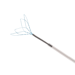 trampa de lazo endovascular keeper biogen