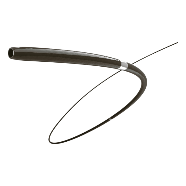 Catéter de soporte DolphinPro